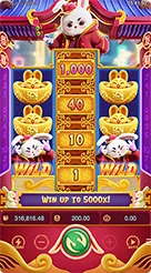 duit8 · Fortune Rabbit